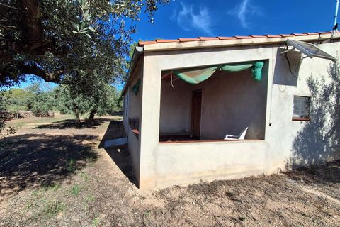 Helårsgrund i Rasquera, Tarragona, Rasquera - € 80.000 | Ref: EXP14061/8930 - foto 11