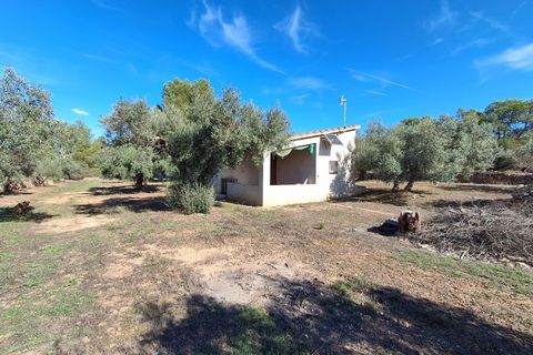 Helårsgrund i Rasquera, Tarragona, Rasquera - € 80.000 | Ref: EXP14061/8930 - foto 12