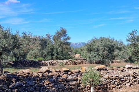 Helårsgrund i Rasquera, Tarragona, Rasquera - € 80.000 | Ref: EXP14061/8930 - foto 14