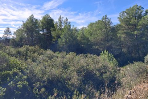 Helårsgrund i Rasquera, Tarragona, Rasquera - € 80.000 | Ref: EXP14061/8930 - foto 17