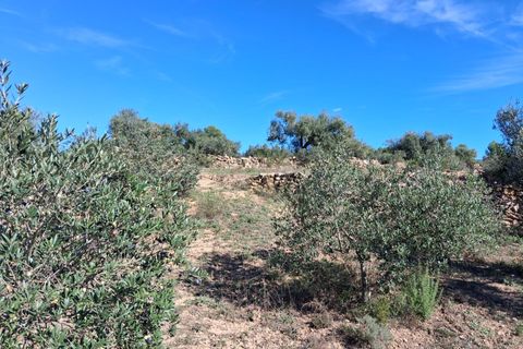 Helårsgrund i Rasquera, Tarragona, Rasquera - € 80.000 | Ref: EXP14061/8930 - foto 19
