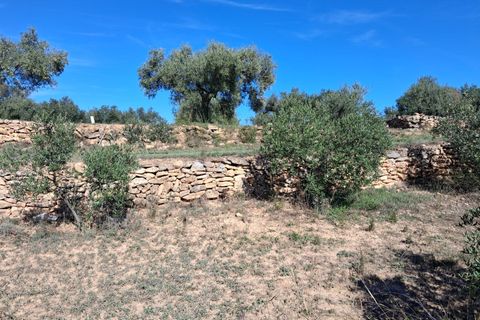 Helårsgrund i Rasquera, Tarragona, Rasquera - € 80.000 | Ref: EXP14061/8930 - foto 20