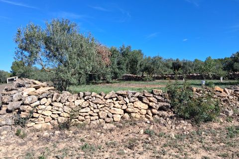 Helårsgrund i Rasquera, Tarragona, Rasquera - € 80.000 | Ref: EXP14061/8930 - foto 22