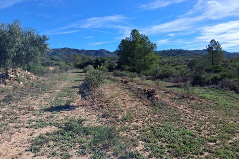 Helårsgrund i Rasquera, Tarragona, Rasquera - € 80.000 | Ref: EXP14061/8930 - foto 23