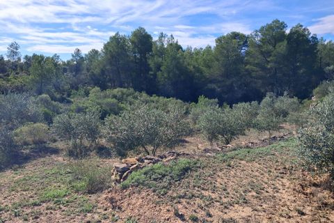 Helårsgrund i Rasquera, Tarragona, Rasquera - € 80.000 | Ref: EXP14061/8930 - foto 24