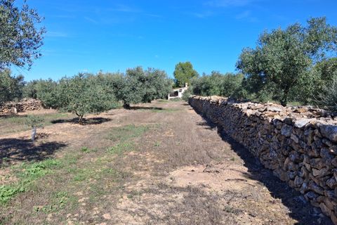Helårsgrund i Rasquera, Tarragona, Rasquera - € 80.000 | Ref: EXP14061/8930 - foto 25