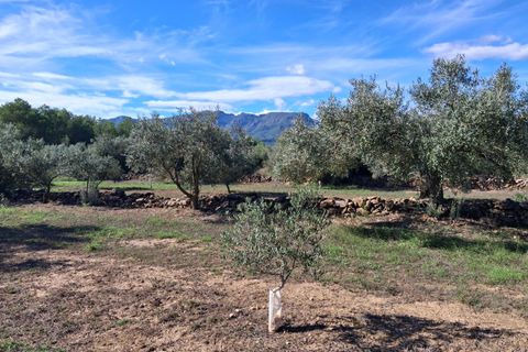 Helårsgrund i Rasquera, Tarragona, Rasquera - € 80.000 | Ref: EXP14061/8930 - foto 26