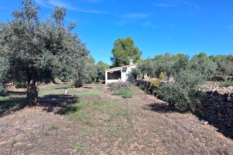 Helårsgrund i Rasquera, Tarragona, Rasquera - € 80.000 | Ref: EXP14061/8930 - foto 27