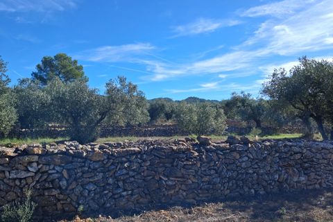 Helårsgrund i Rasquera, Tarragona, Rasquera - € 80.000 | Ref: EXP14061/8930 - foto 28