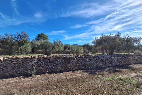 Helårsgrund i Rasquera, Tarragona, Rasquera - € 80.000 | Ref: EXP14061/8930 - foto 29