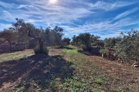 Helårsgrund i Rasquera, Tarragona, Rasquera - € 80.000 | Ref: EXP14061/8930 - foto 30