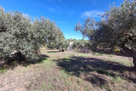 Helårsgrund i Rasquera, Tarragona, Rasquera - € 80.000 | Ref: EXP14061/8930 - foto 31