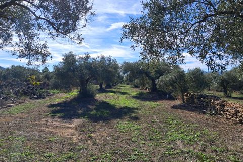Helårsgrund i Rasquera, Tarragona, Rasquera - € 80.000 | Ref: EXP14061/8930 - foto 32