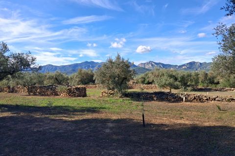 Helårsgrund i Rasquera, Tarragona, Rasquera - € 80.000 | Ref: EXP14061/8930 - foto 33