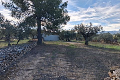 Helårsgrund i Rasquera, Tarragona, Rasquera - € 80.000 | Ref: EXP14061/8930 - foto 34