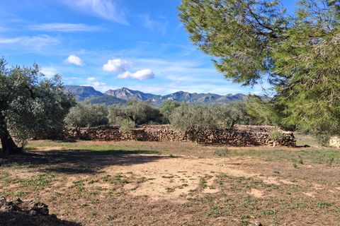 Helårsgrund i Rasquera, Tarragona, Rasquera - € 80.000 | Ref: EXP14061/8930 - foto 36
