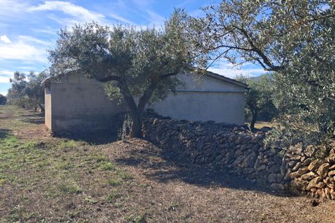 Helårsgrund i Rasquera, Tarragona, Rasquera - € 80.000 | Ref: EXP14061/8930 - foto 37