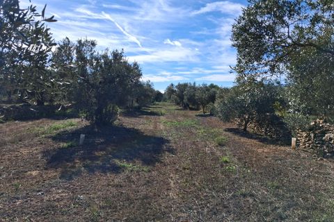 Helårsgrund i Rasquera, Tarragona, Rasquera - € 80.000 | Ref: EXP14061/8930 - foto 39