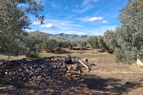 Helårsgrund i Rasquera, Tarragona, Rasquera - € 80.000 | Ref: EXP14061/8930 - foto 40