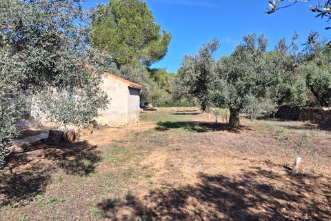 Helårsgrund i Rasquera, Tarragona, Rasquera - € 80.000 | Ref: EXP14061/8930 - foto 41