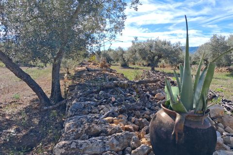 Helårsgrund i Rasquera, Tarragona, Rasquera - € 80.000 | Ref: EXP14061/8930 - foto 42