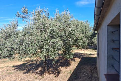 Helårsgrund i Rasquera, Tarragona, Rasquera - € 80.000 | Ref: EXP14061/8930 - foto 43