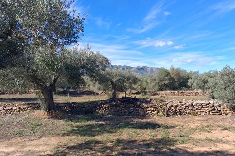 Helårsgrund i Rasquera, Tarragona, Rasquera - € 80.000 | Ref: EXP14061/8930 - foto 44