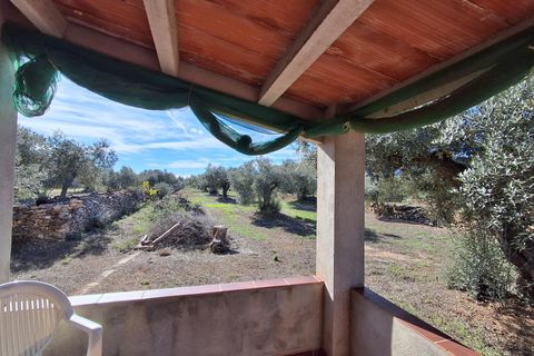 Helårsgrund i Rasquera, Tarragona, Rasquera - € 80.000 | Ref: EXP14061/8930 - foto 45