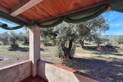 Helårsgrund i Rasquera, Tarragona, Rasquera - € 80.000 | Ref: EXP14061/8930 - foto 46