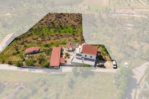 Byhus i Serta, Castelo Branco, Serta - € 500.000 | Ref: 871071 - foto 3