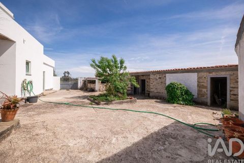 Byhus i Serta, Castelo Branco, Serta - € 500.000 | Ref: 871071 - foto 33