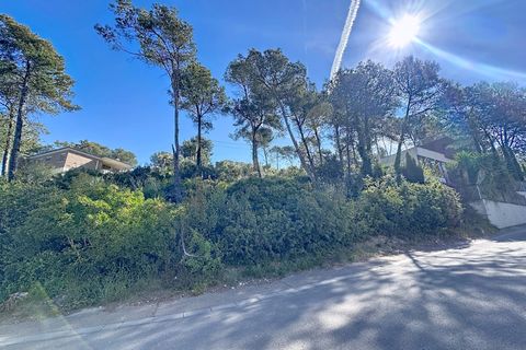 Terra a Barcelona, Barcelona, Barcelona - € 86.000 | Ref: 880467 - foto 4