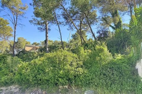 Terra a Barcelona, Barcelona, Barcelona - € 86.000 | Ref: 880467 - foto 14