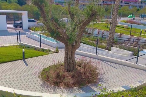 Lejlighed i Orihuela, Alicante, Orihuela - € 269.000 | Ref: MCO-21128 - foto 17