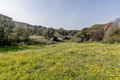 Villa i Sainte-Maxime, Var, Sainte-Maxime - € 11.000.000 | Ref: HH-16148915 - foto 15