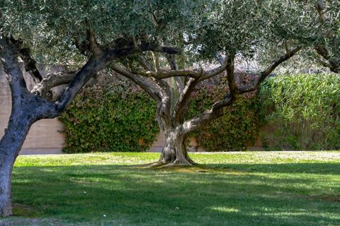 Villa i Uzes, Gard, Uzes - € 1.295.000 | Ref: HH-16148177 - foto 28