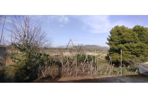 Villa a Monovar, Alicante, Monovar - € 88.000 | Ref: DNV0643 - foto 28