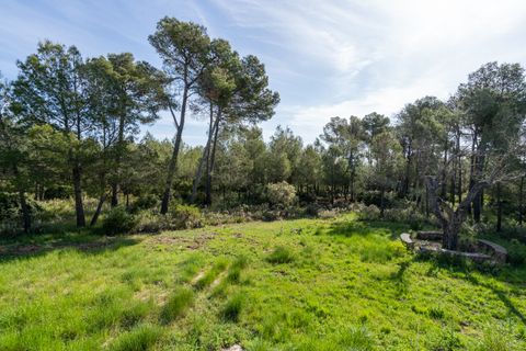 Villa in Enguera, Valencia, Enguera - € 200.000 | Ref: 349 - foto 49
