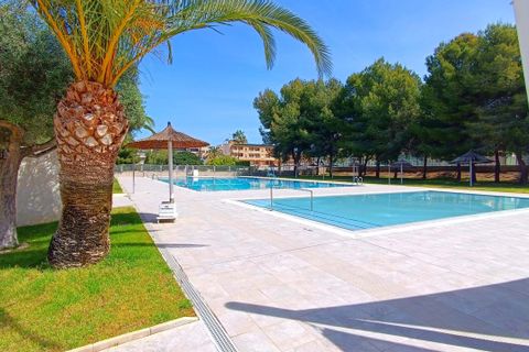 Apartamento en Algorfa, Alicante, Algorfa - € 124.995 | Ref: P8942 - photo 27
