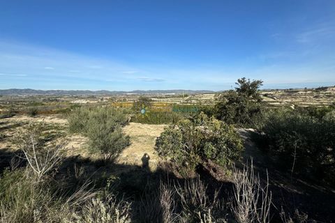 Villa a El Palomar, Valencia, El Palomar - € 138.000 | Ref: PNVL0060 - foto 21