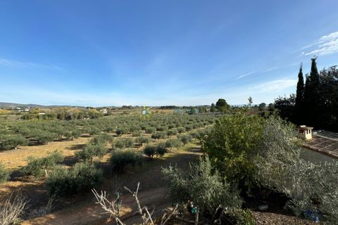 Villa a El Palomar, Valencia, El Palomar - € 138.000 | Ref: PNVL0060 - foto 19