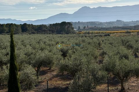 Villa a El Palomar, Valencia, El Palomar - € 138.000 | Ref: PNVL0060 - foto 18