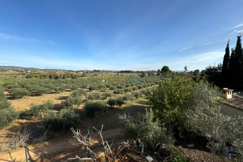 Villa a El Palomar, Valencia, El Palomar - € 138.000 | Ref: PNVL0060 - foto 17