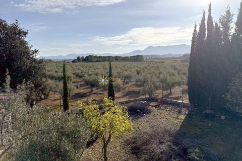Villa a El Palomar, Valencia, El Palomar - € 138.000 | Ref: PNVL0060 - foto 16