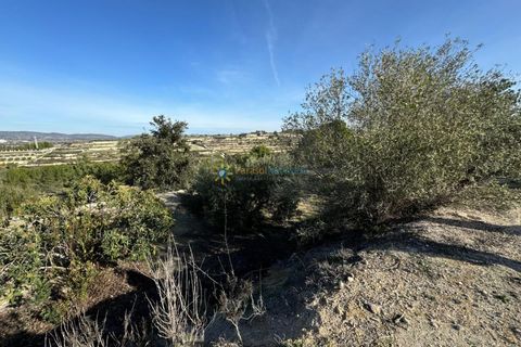 Villa a El Palomar, Valencia, El Palomar - € 138.000 | Ref: PNVL0060 - foto 20