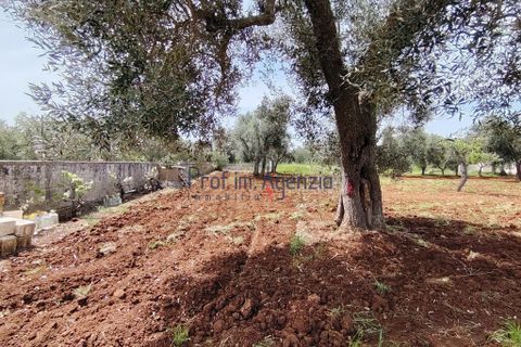 Helårsgrund i Carovigno, Brindisi, Carovigno - € 25.000 | Ref: 121916 - foto 6