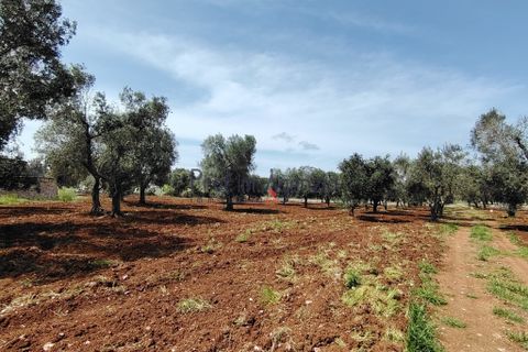 Helårsgrund i Carovigno, Brindisi, Carovigno - € 25.000 | Ref: 121916 - foto 2