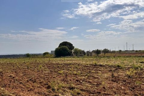Helårsgrund i Carovigno, Brindisi, Carovigno - € 150.000 | Ref: tem6 - foto 3