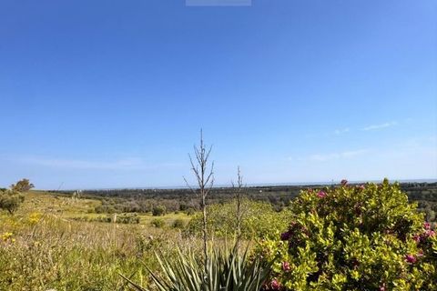 Helårsgrund i Carovigno, Brindisi, Carovigno - € 150.000 | Ref: tem6 - foto 2