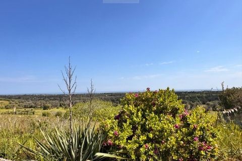 Helårsgrund i Carovigno, Brindisi, Carovigno - € 150.000 | Ref: tem6 - foto 6